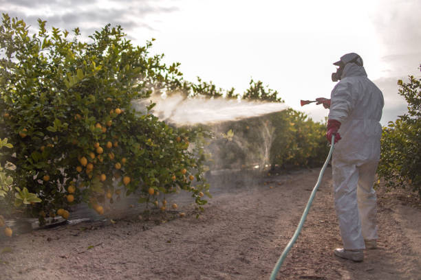 Best Pest Control Near Me  in Hobart, IN