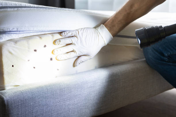 Best Bed Bug Extermination  in Hobart, IN