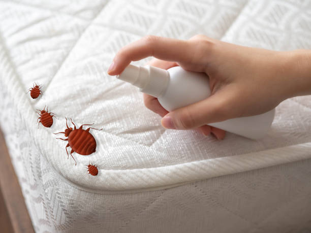 Best Wasp Removal Services  in Hobart, IN